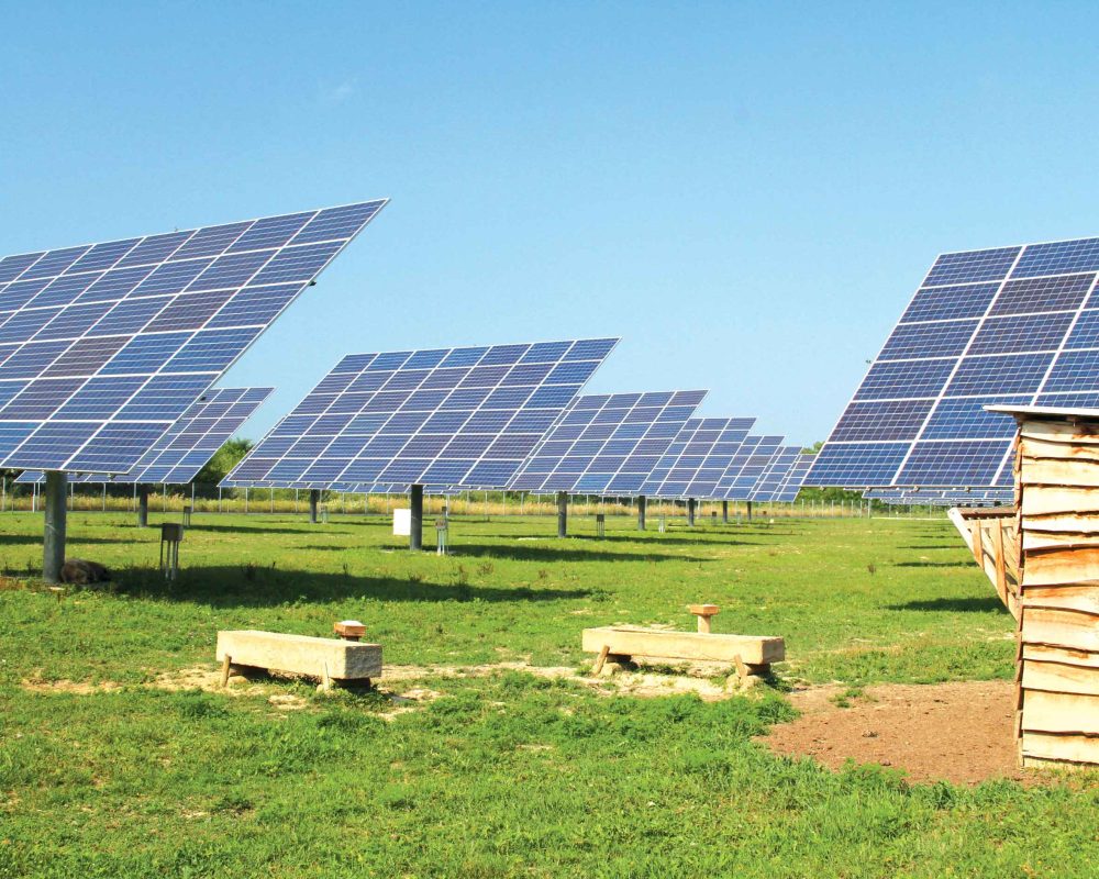 Solartech Tamási Naperőmű